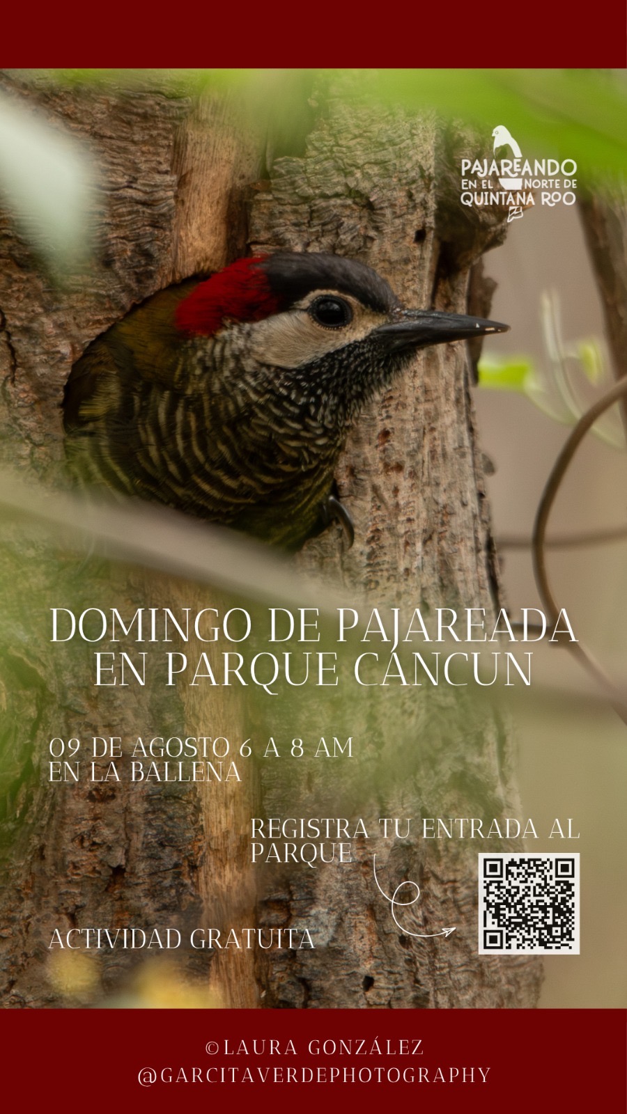 Sunday Birdwatching at Parque Cancun