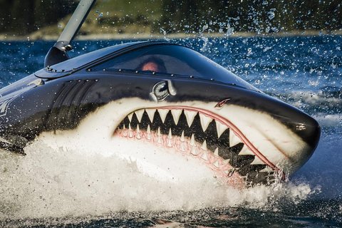 Shark Ride in Cancun - Seabreacher