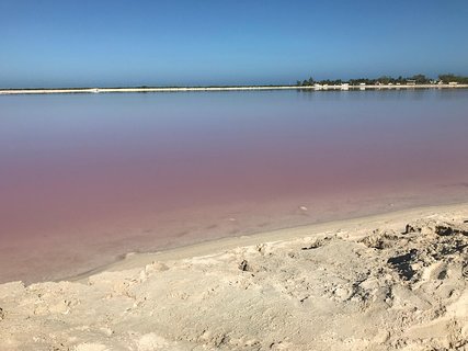 LAS COLORADAS & RIO LAGARTOS from Riviera Maya and Cancun (Private)