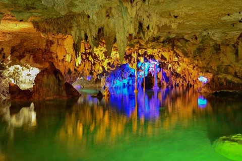 Turtles and Cenote from Riviera Maya