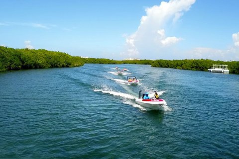 Live the experience of driving an Speedboat & Snorkel in CANCUN