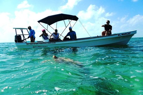 Private tour - Sian Ka´an Adventure