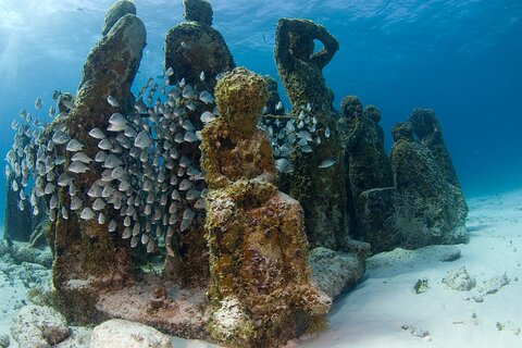 Isla Mujeres Catamaran Tour with Snorkeling at MUSA, Buffet Lunch & Open Bar