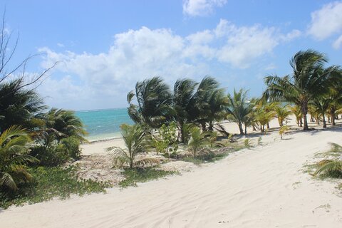 Maroma Beach Club and Brunch
