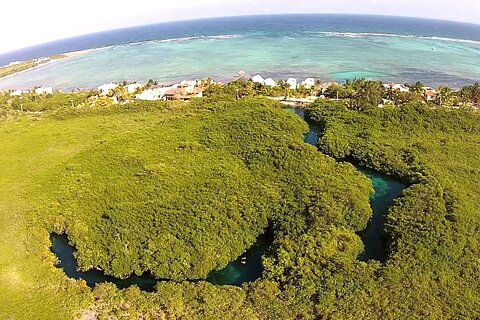 Discovering Breathtaking Cenotes in Tulum