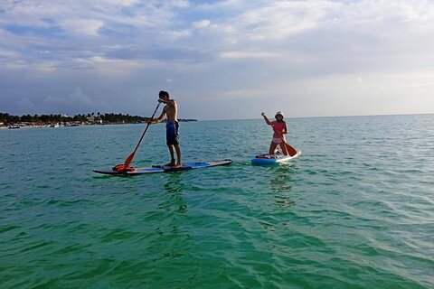 Paddle Board Classes in Holbox with Pick up