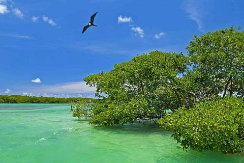 Nature Day, Sian Kaan Biosphere Tour! Transportation from Tulum