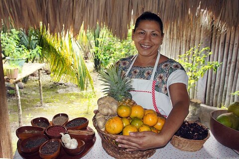 Bacalar Seven Color Lagoon and Mayan Experience Combo Tour