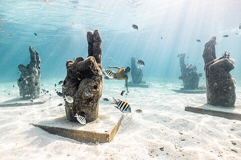 5-in-1 Cancun Snorkeling: Turtles, Reef, Musa, Shipwreck, Cenote