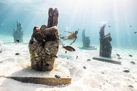 With Transport, Shipwreck, Cenote, and Reef and Turtles Included