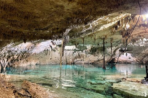 Cenotes Taak Bi Ha & Nicte Ha – VIP Snorkeling Private Tour