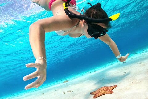 Colombia, Palancar & Cielo Cozumel Snorkel Tour