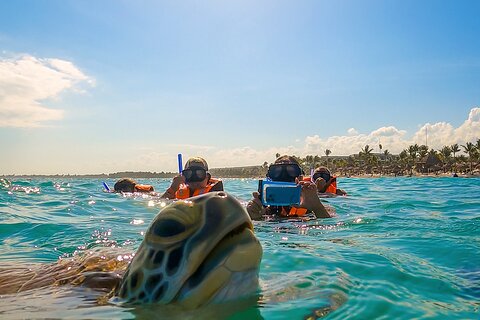 Akumal Adventure: Swim with turtles and explore Tulum Ruins
