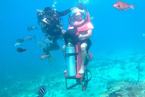 Cozumel Shore Excursion: Mini-SUB Diving Adventure