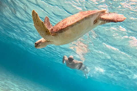 Cozumel: Snorkeling to El Cielo & Cielito with drinks & Snack
