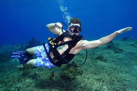 1 Tank Guided Shore Dive for Certified Divers Including Equipment