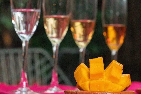 Sip and Learn Tequila Tasting in Mexico