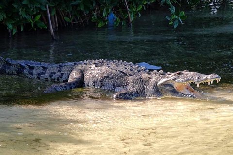 Sian Kaan Reserve Bike Tour & Fishing at Crocodile Bridge & Meal