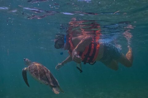 Private VW Beetle Tour Swim with Turtles, Visit Tulum Ruins&Town