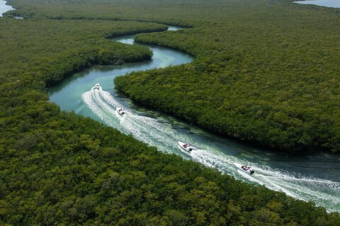 Mayan Jungle Tour: 5 Experiences in 1 Cancun Adventure