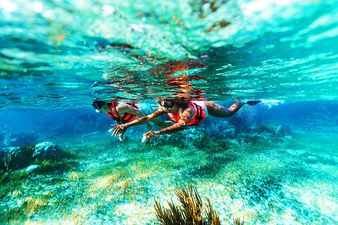 Puerto Morelos Snorkel, Town Walk, Tequila Tasting & Beach Lunch