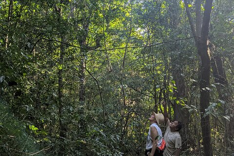 Private Monkey Sanctuary Trails with Zipline Canoe and Cenote