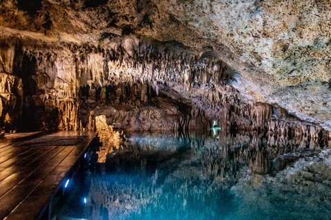 The Best Cenotes in Playa del Carmen Private Tour