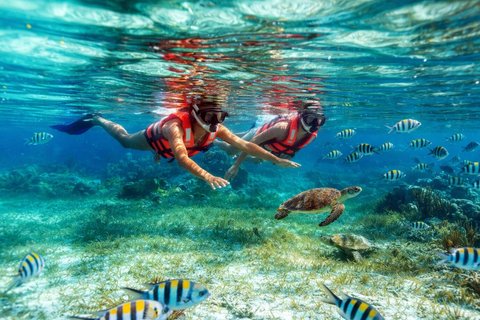 Reef Snorkeling in National Park with Beach Club & Lunch