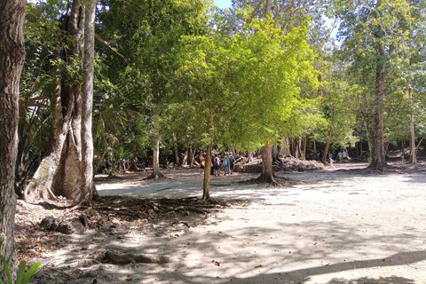 Private Tour To Chacchoben Mayan Ruins All Inclusive