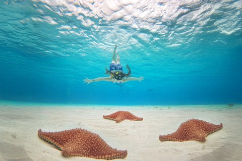 Cozumel: Water Park and Zipline with El Cielo in Kuza Adventure