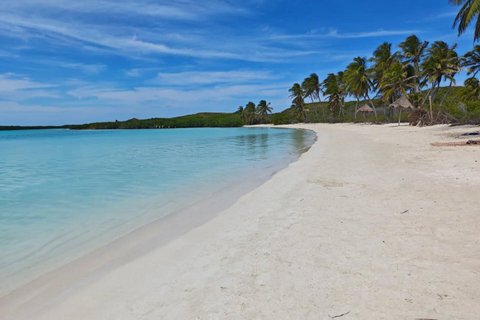 Island Contoy Adventour & Buffete & Isla Mujeres only from Cancun
