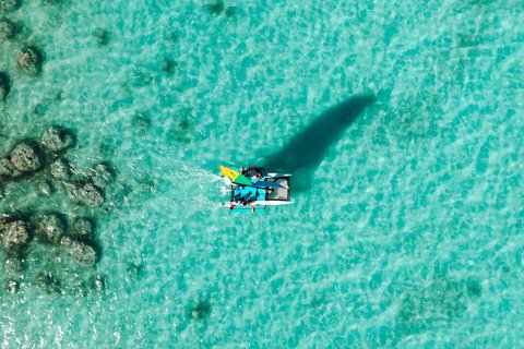 Private Catamaran in Bacalar & Black Cenote with Picnic and Photos